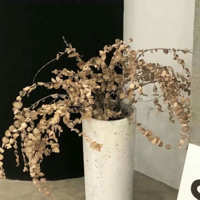 Furry绘画色彩搭配Furry群